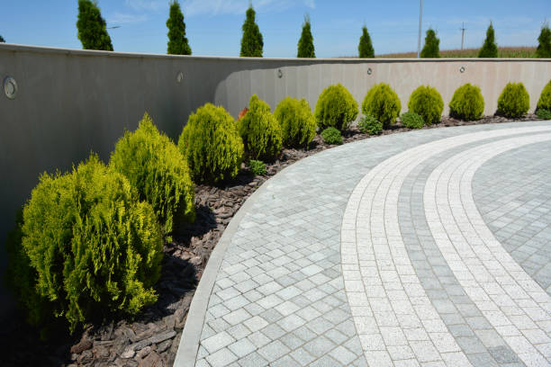 Best Brick Driveway Pavers  in Los Alamos, NM